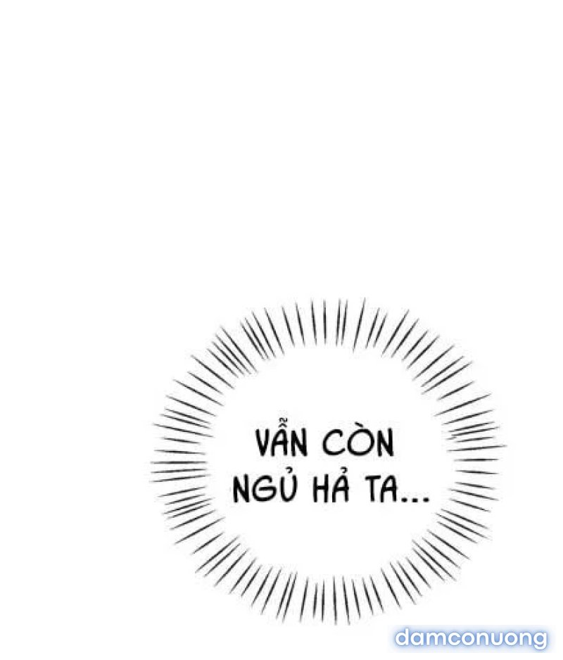 Chị Dâu Cô Đơn 