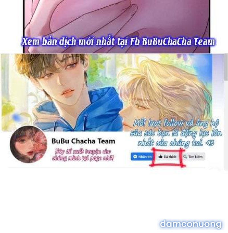 Chị Dâu Cô Đơn 