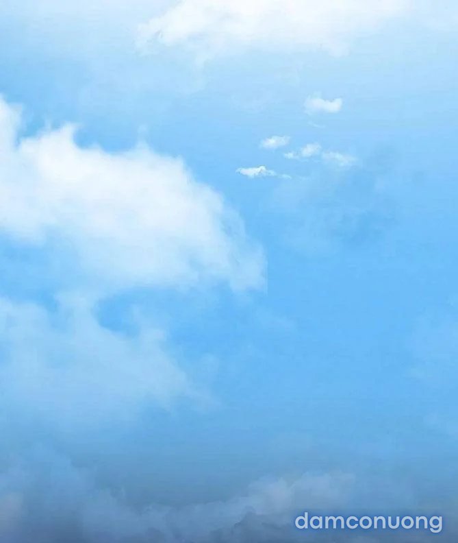 Chị Dâu Cô Đơn 
