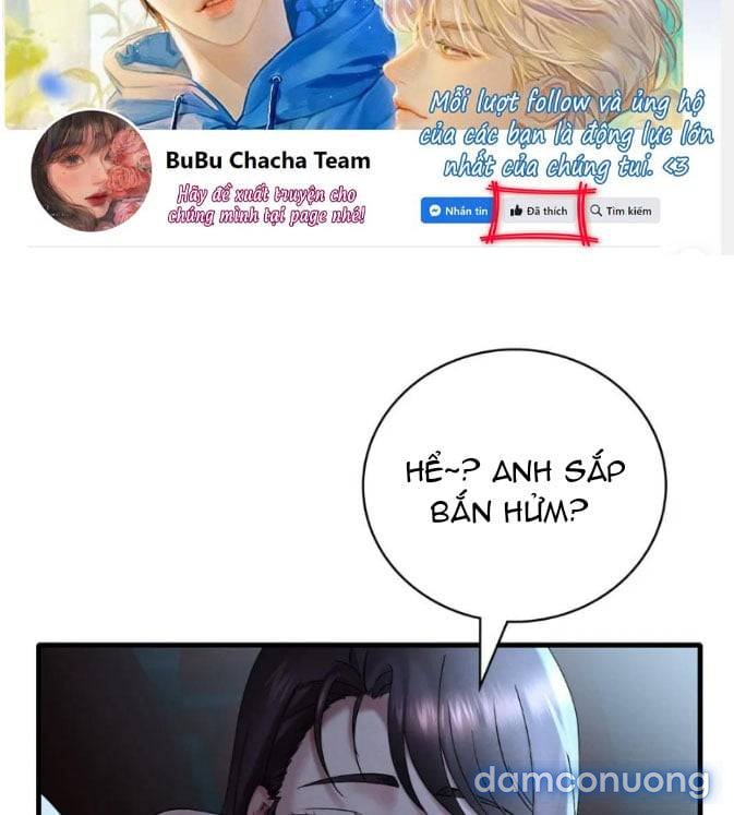 Chị Dâu Cô Đơn 