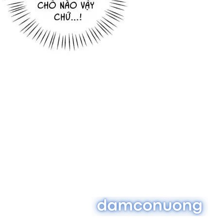 Chị Dâu Cô Đơn 
