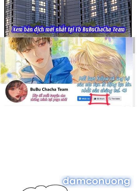 Chị Dâu Cô Đơn 