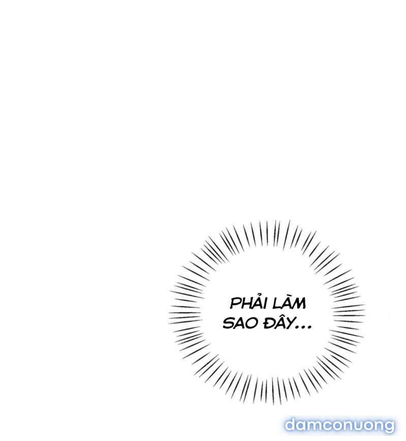 Chị Dâu Cô Đơn 