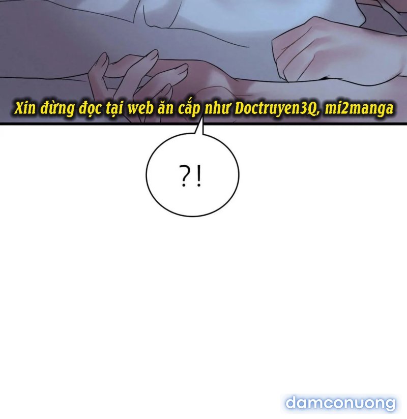 Chị Dâu Cô Đơn 