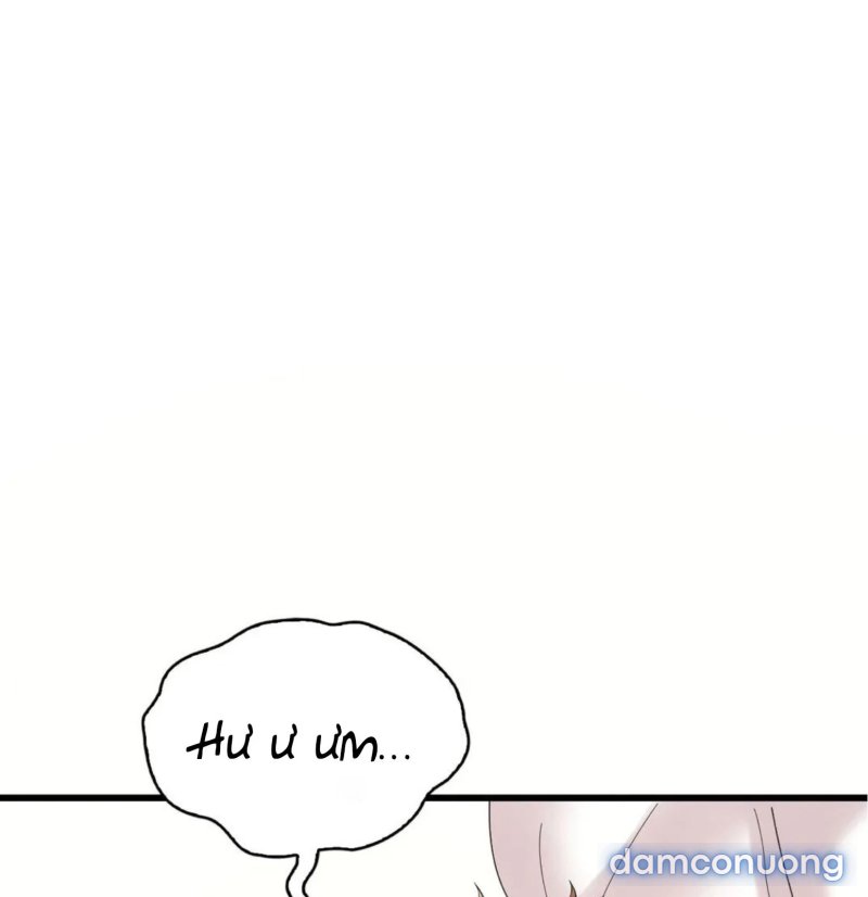 Chị Dâu Cô Đơn 