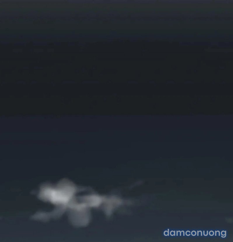 Chị Dâu Cô Đơn 