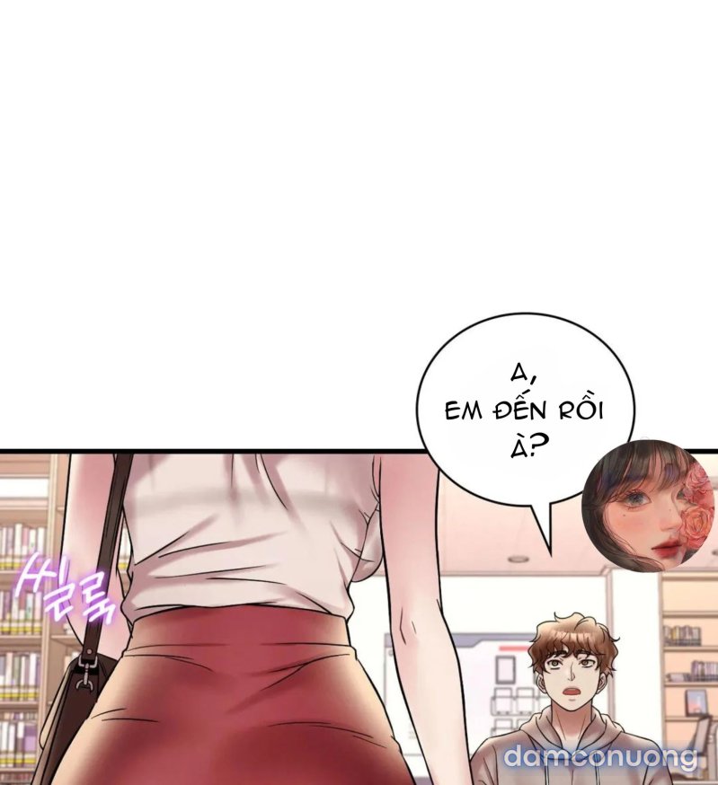 Chị Dâu Cô Đơn 
