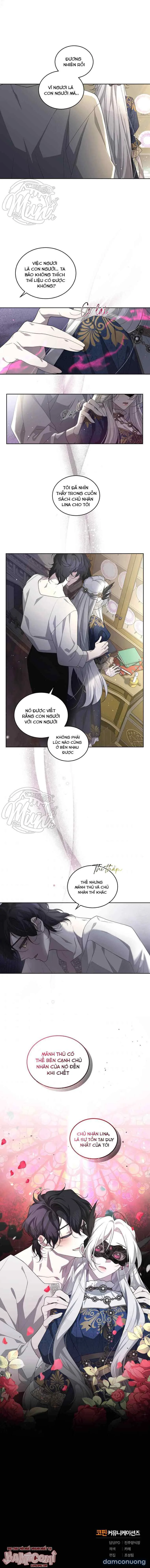 Ác Nữ Thuần Hóa Quái Thú 