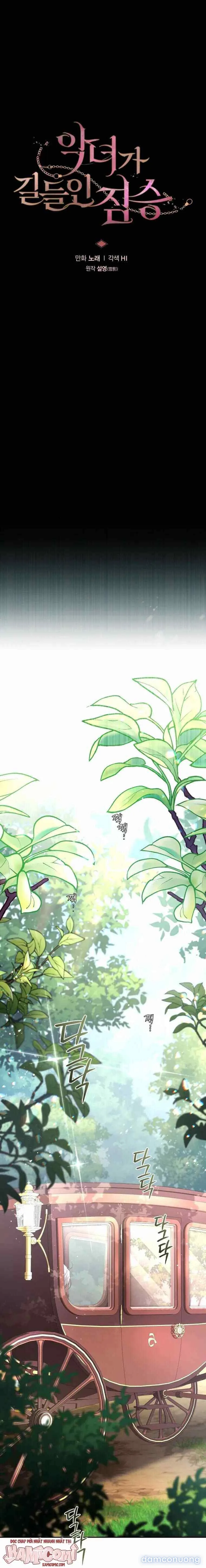 Ác Nữ Thuần Hóa Quái Thú 