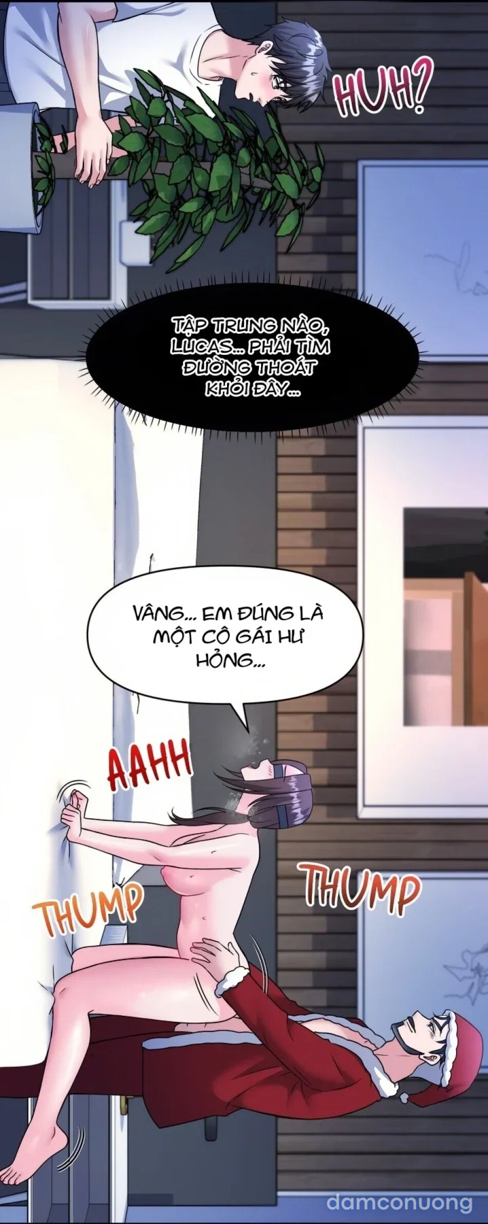 MÙA GIÁNG SINH DAMDUC CỦA TÔI 