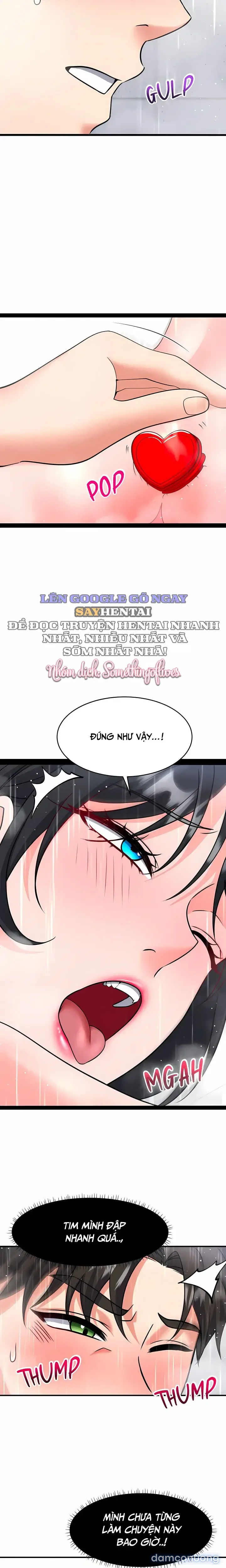 MÙA GIÁNG SINH DAMDUC CỦA TÔI 