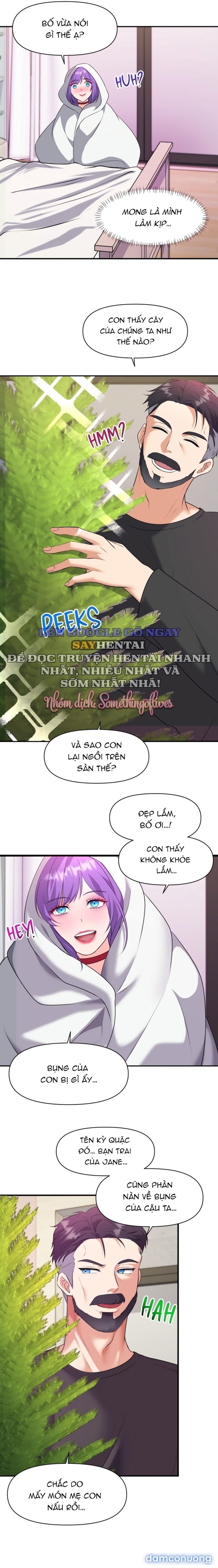 MÙA GIÁNG SINH DAMDUC CỦA TÔI 