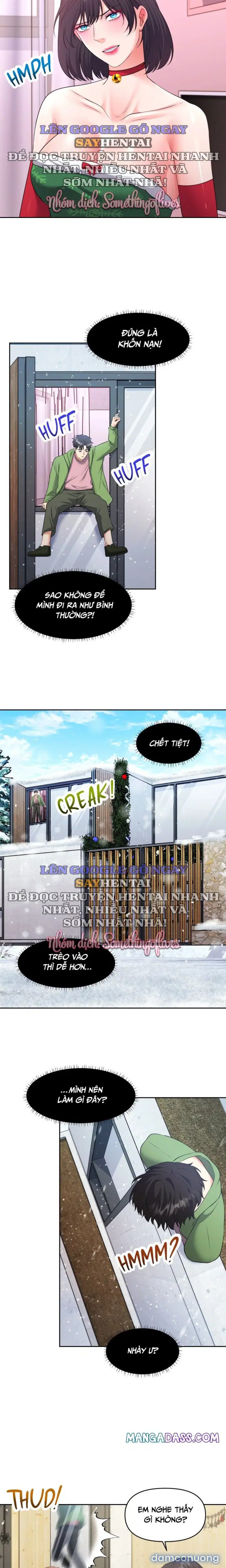 MÙA GIÁNG SINH DAMDUC CỦA TÔI 
