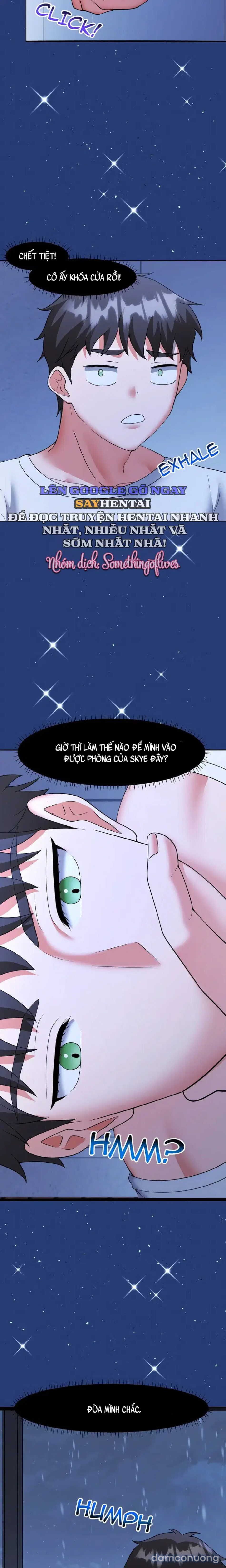MÙA GIÁNG SINH DAMDUC CỦA TÔI 