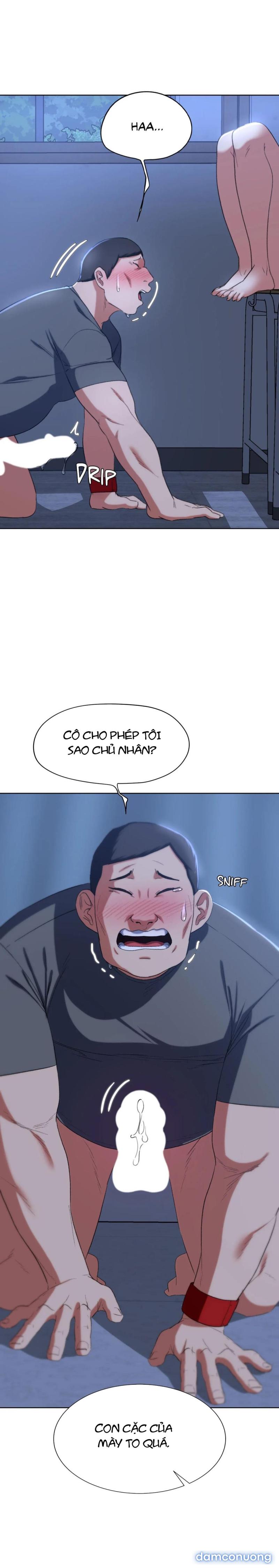 Trò Chơi Mạo Hiểm 