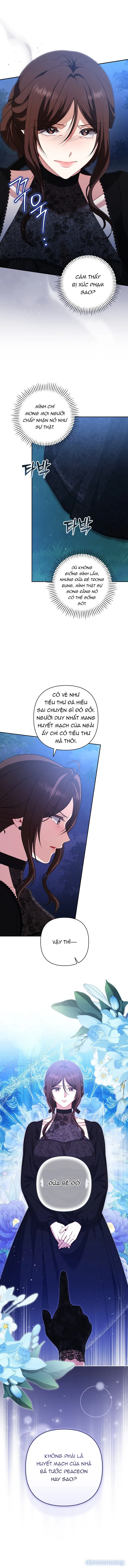Tôi Đã Xem Một Vở Kịch 