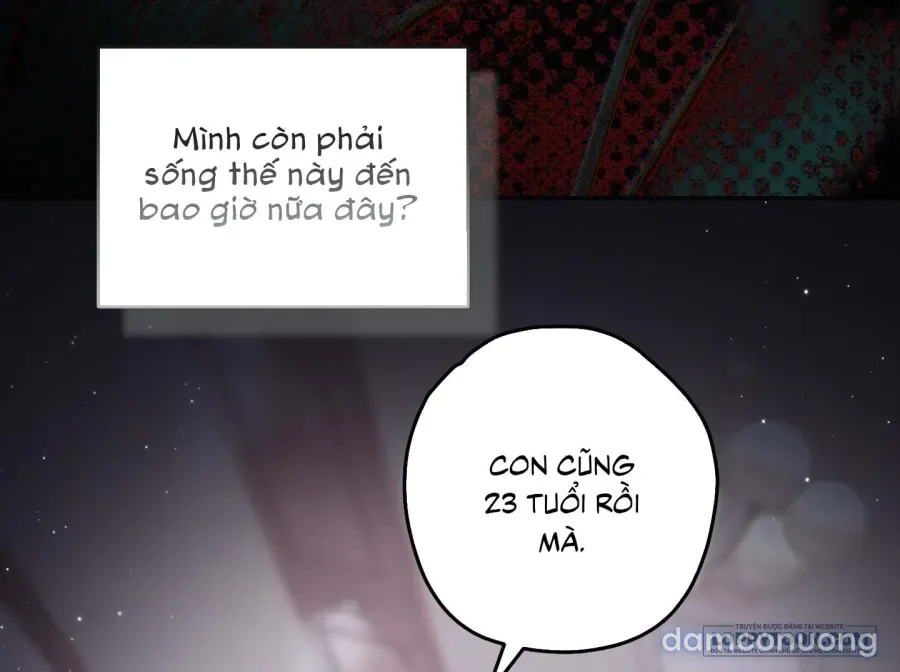 Không Tỉnh Táo 