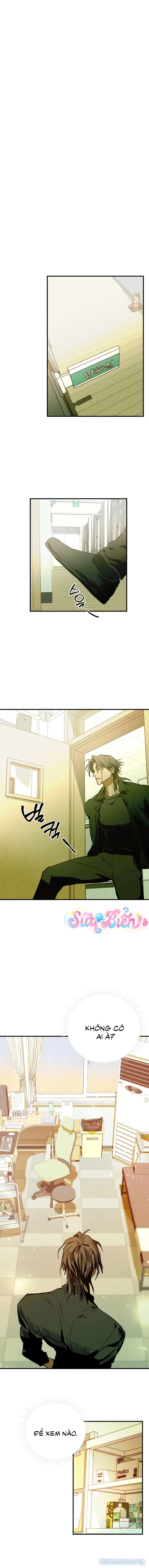 Y Tế Trường Học 