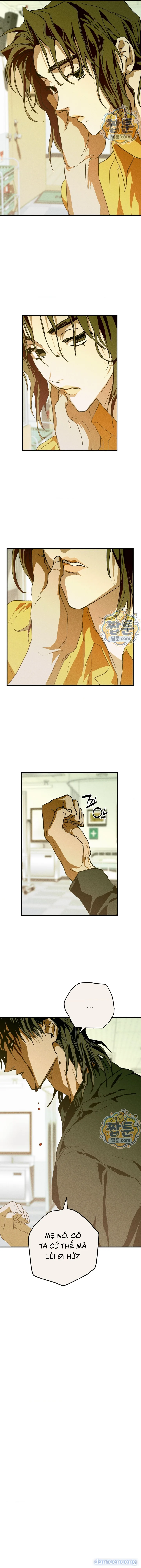 Y Tế Trường Học 