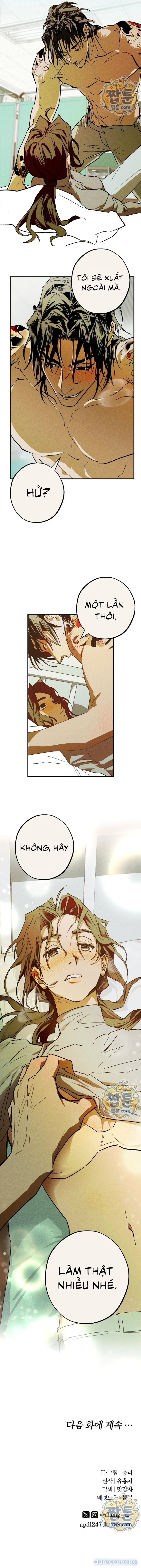Y Tế Trường Học 