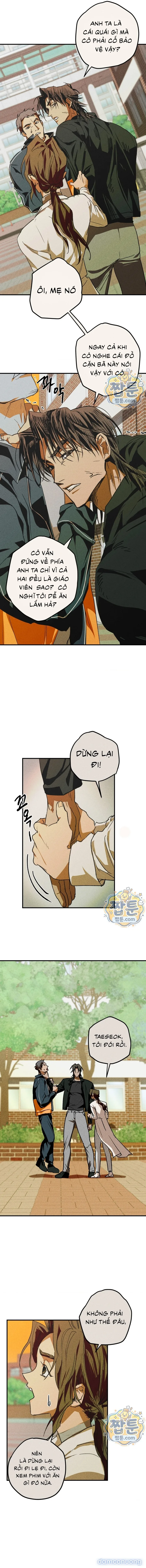 Y Tế Trường Học 