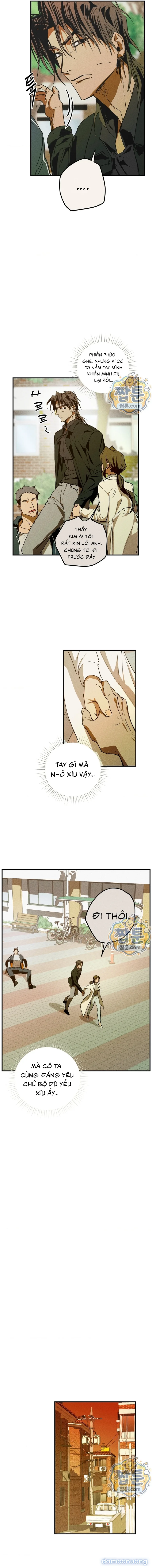Y Tế Trường Học 