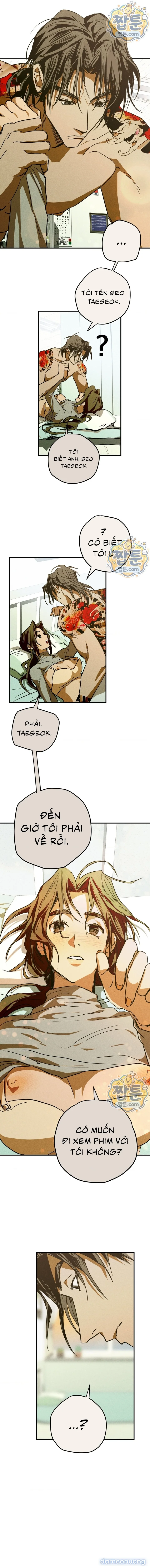 Y Tế Trường Học 