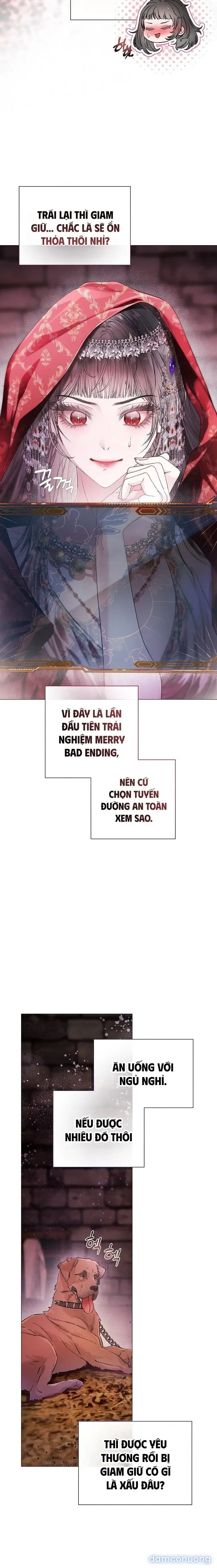 Cẩm Nang Dành Cho Merry Bad Ending 