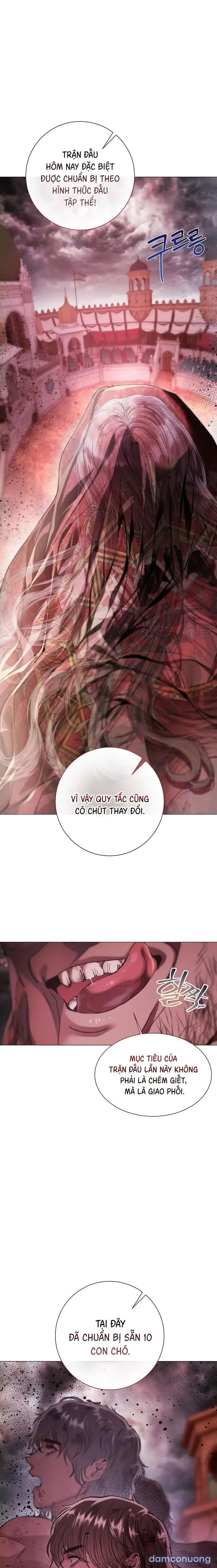 Cẩm Nang Dành Cho Merry Bad Ending 