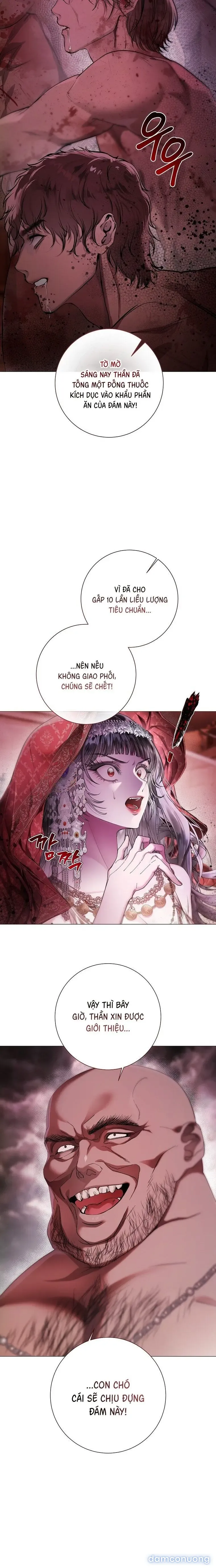 Cẩm Nang Dành Cho Merry Bad Ending 