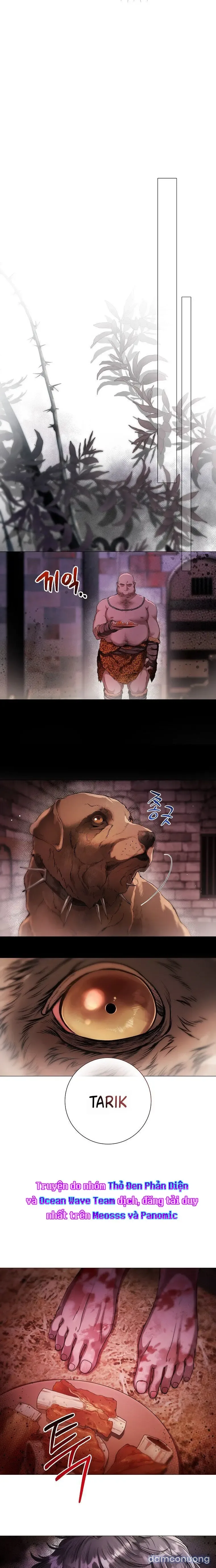 Cẩm Nang Dành Cho Merry Bad Ending 