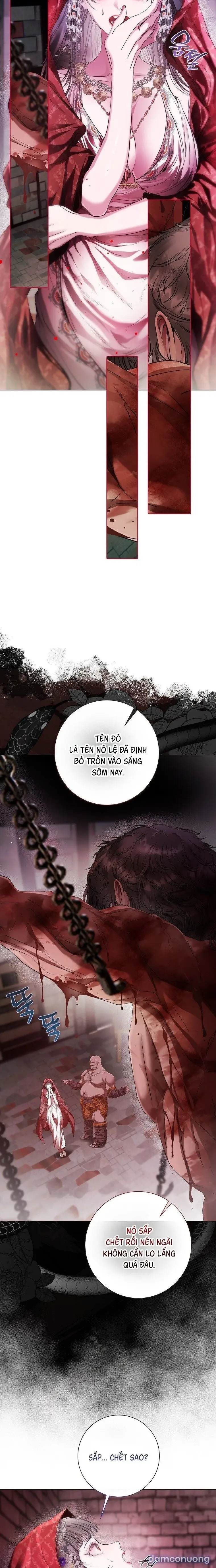 Cẩm Nang Dành Cho Merry Bad Ending 