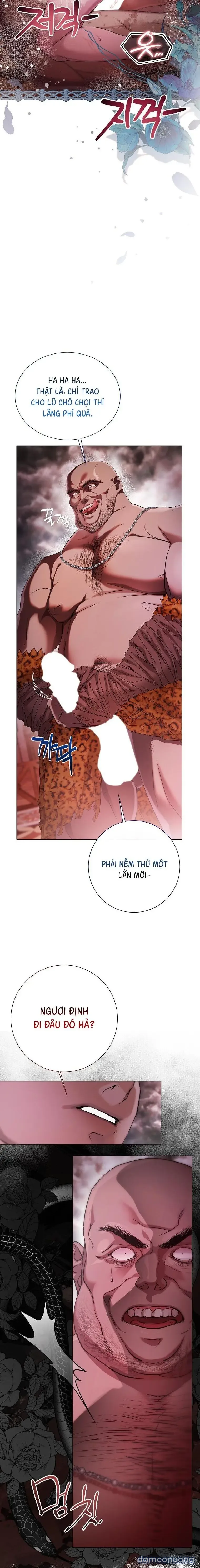 Cẩm Nang Dành Cho Merry Bad Ending 