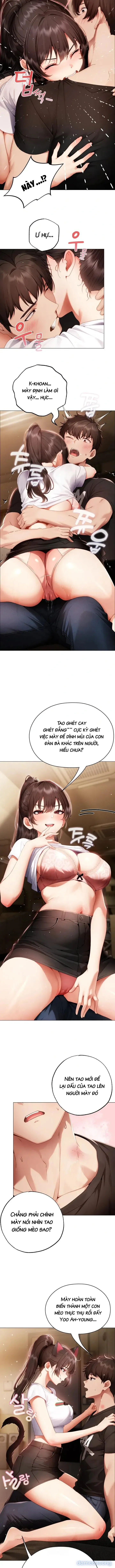Ác Nữ Năm Xưa Quay Lại Chơi Đùa Tôi 