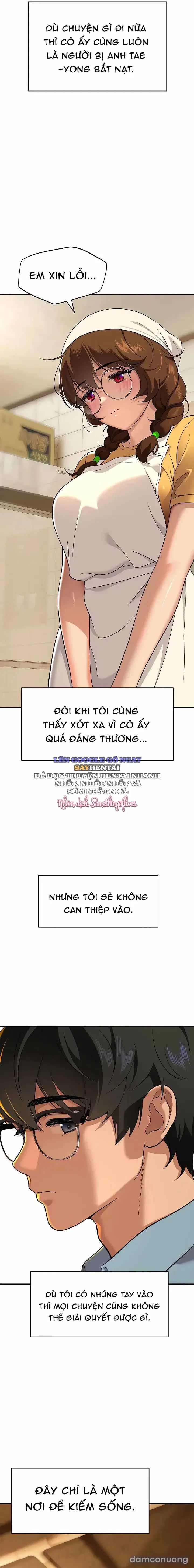 Góc Khuất Của Chú Mèo Ngoan 