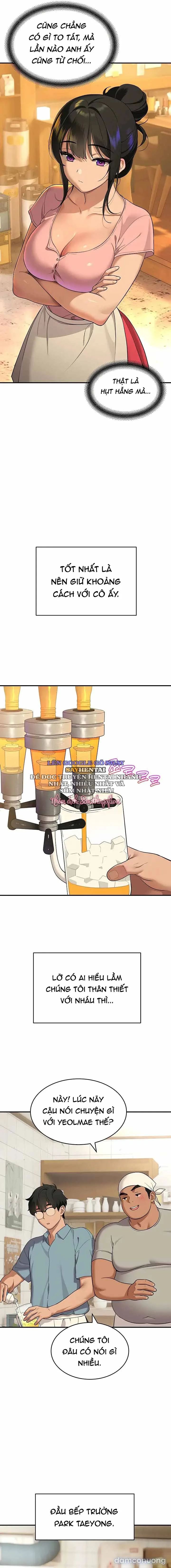 Góc Khuất Của Chú Mèo Ngoan 