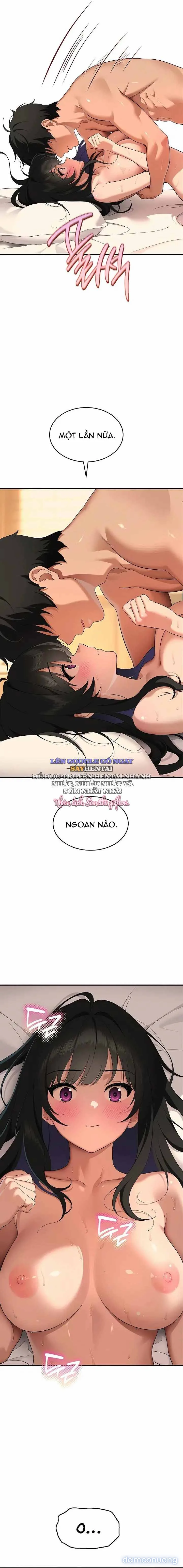 Góc Khuất Của Chú Mèo Ngoan 