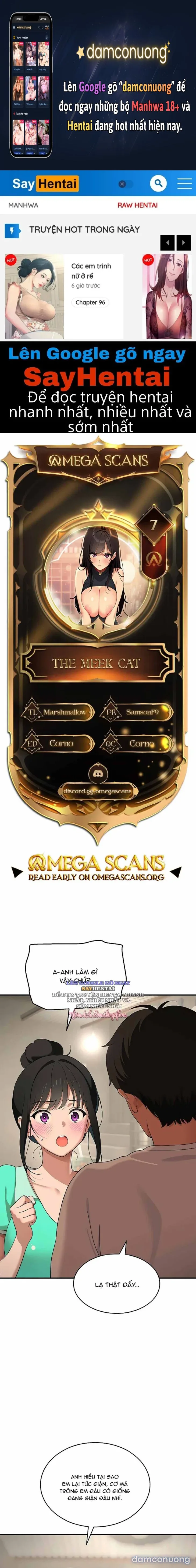 Góc Khuất Của Chú Mèo Ngoan 