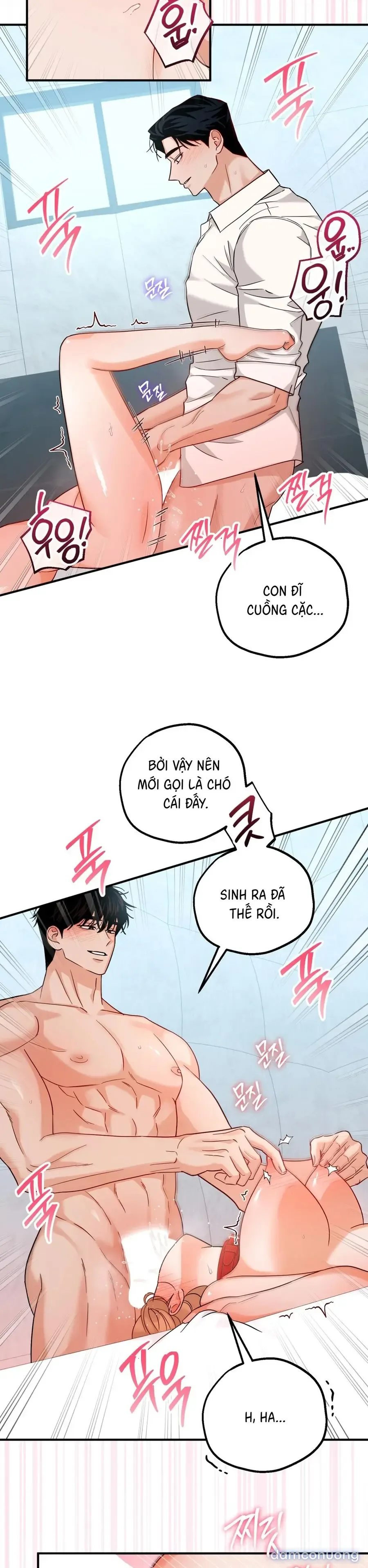 Huấn Luyện Viên Hai Hương Vị 