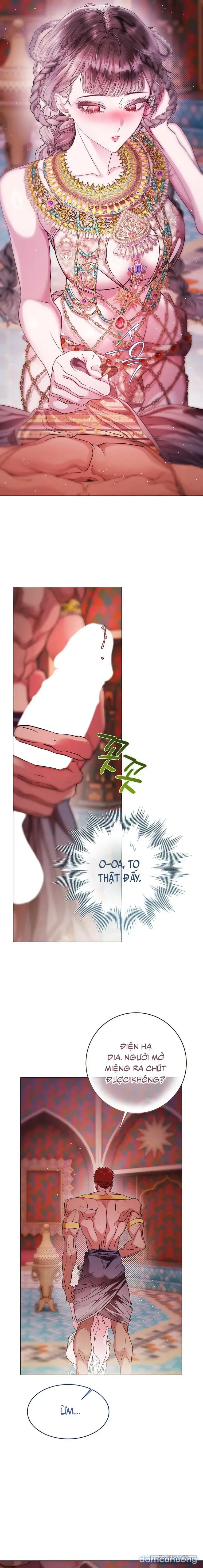 Cẩm Nang Chinh Phục Dành Cho Merry Bad Ending 