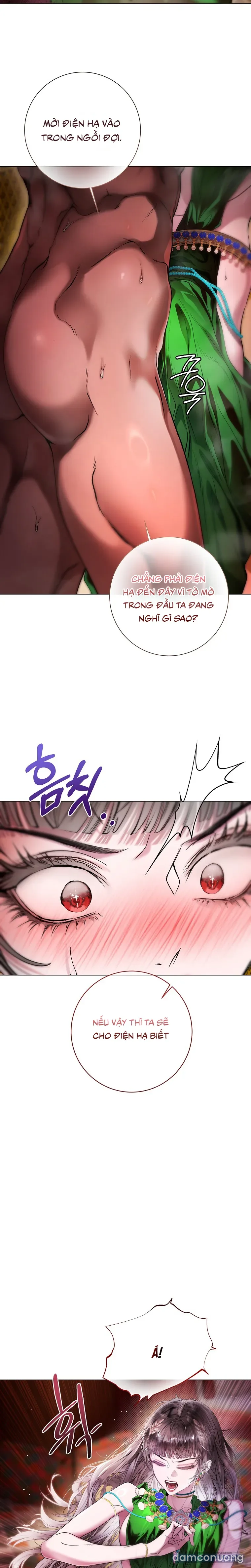 Cẩm Nang Chinh Phục Dành Cho Merry Bad Ending 