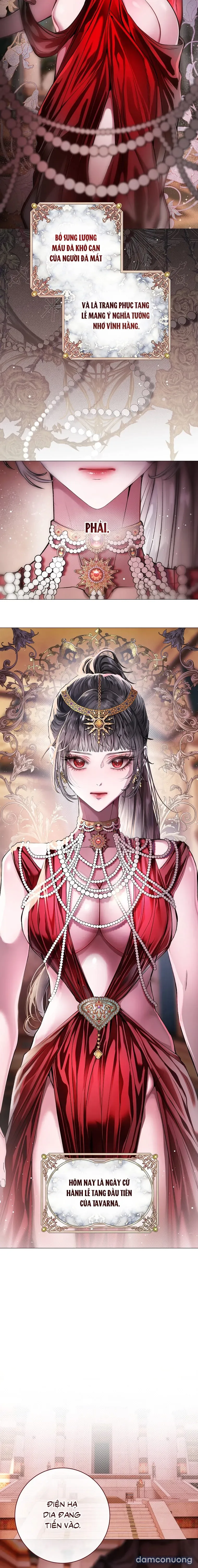 Cẩm Nang Chinh Phục Dành Cho Merry Bad Ending 