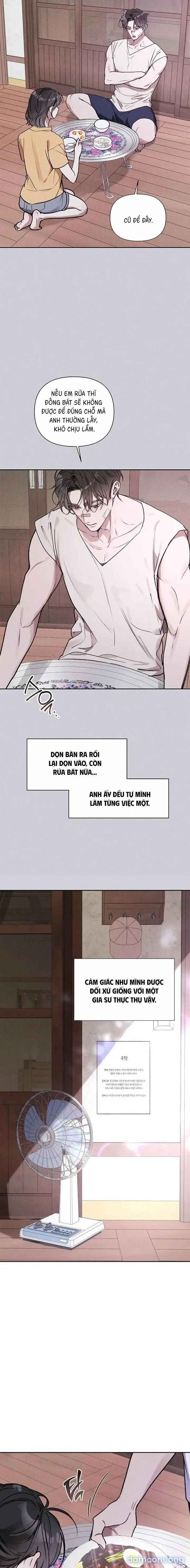 Cho Đến Khi Hóa Thành Đóa Lan 