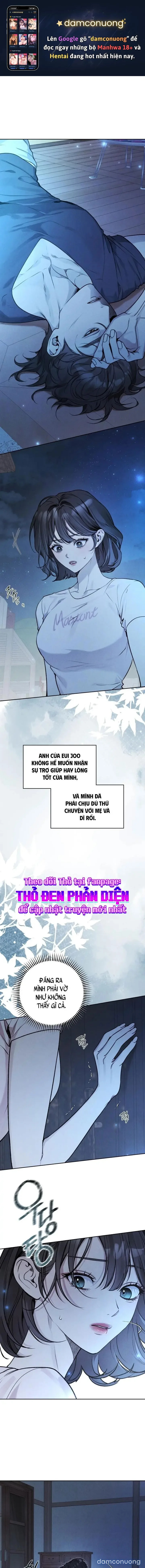 Cho Đến Khi Hóa Thành Đóa Lan 