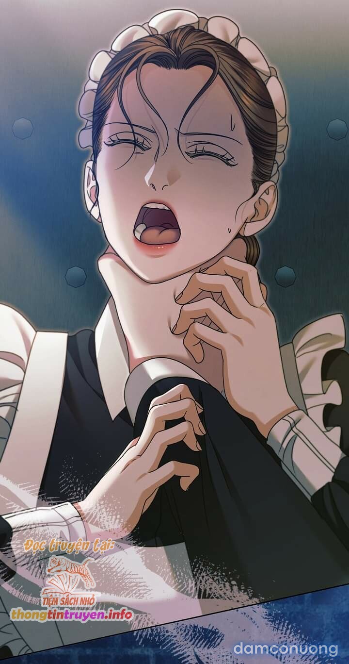 [18+] Hãy Cầu Xin Tôi Đi 
