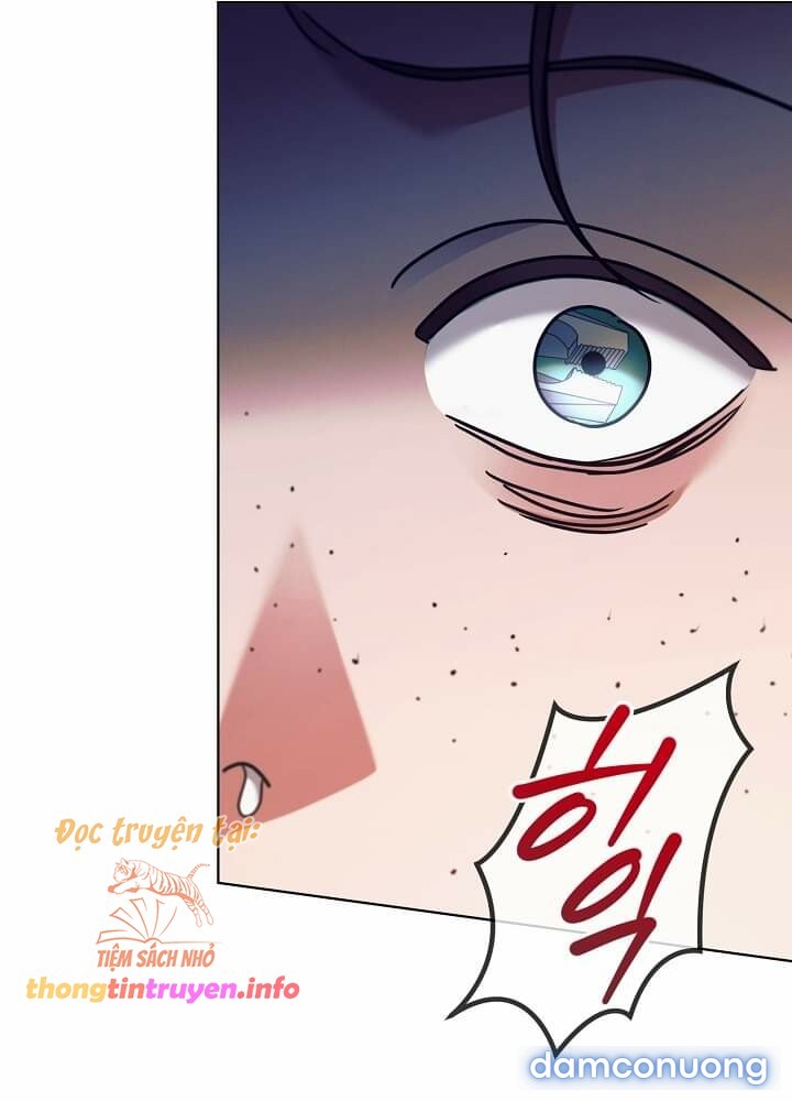 [18+] Hãy Cầu Xin Tôi Đi 