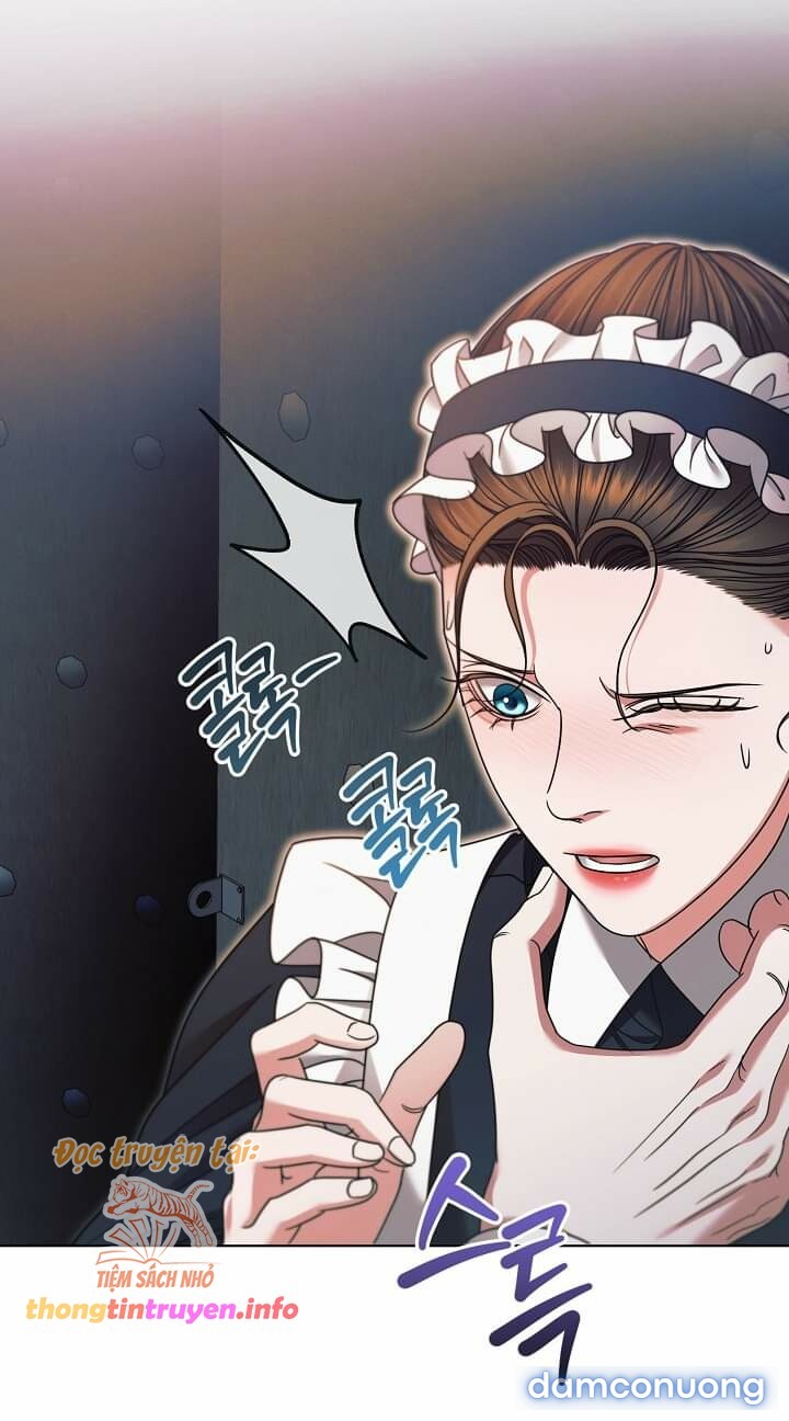 [18+] Hãy Cầu Xin Tôi Đi 