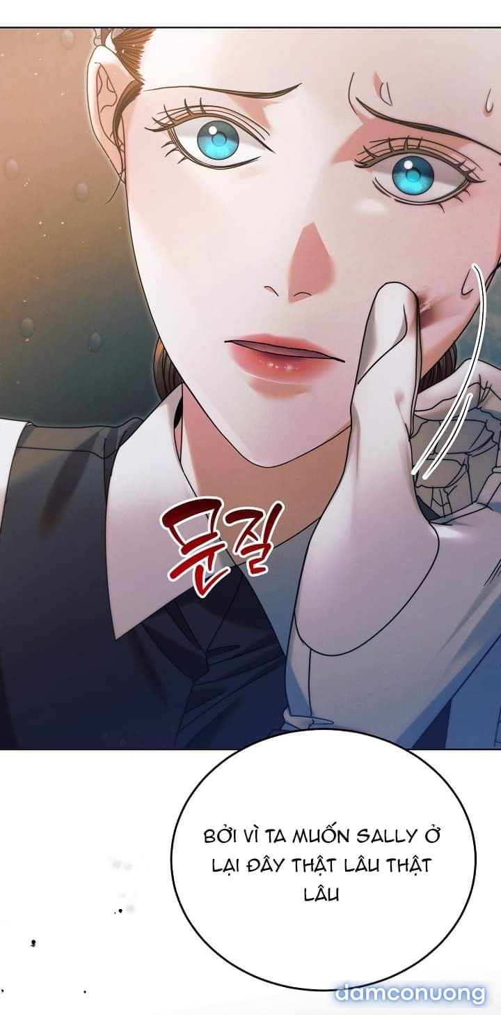 [18+] Hãy Cầu Xin Tôi Đi 