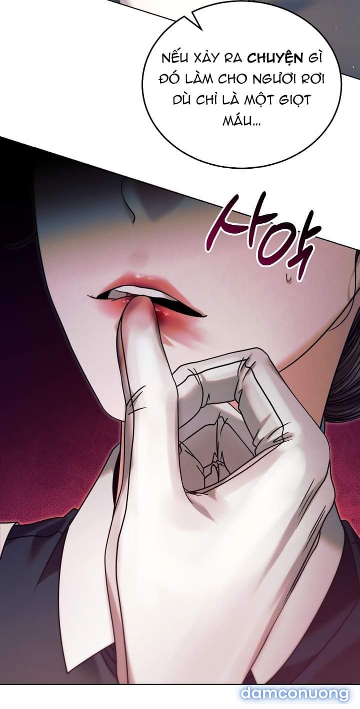 [18+] Hãy Cầu Xin Tôi Đi 