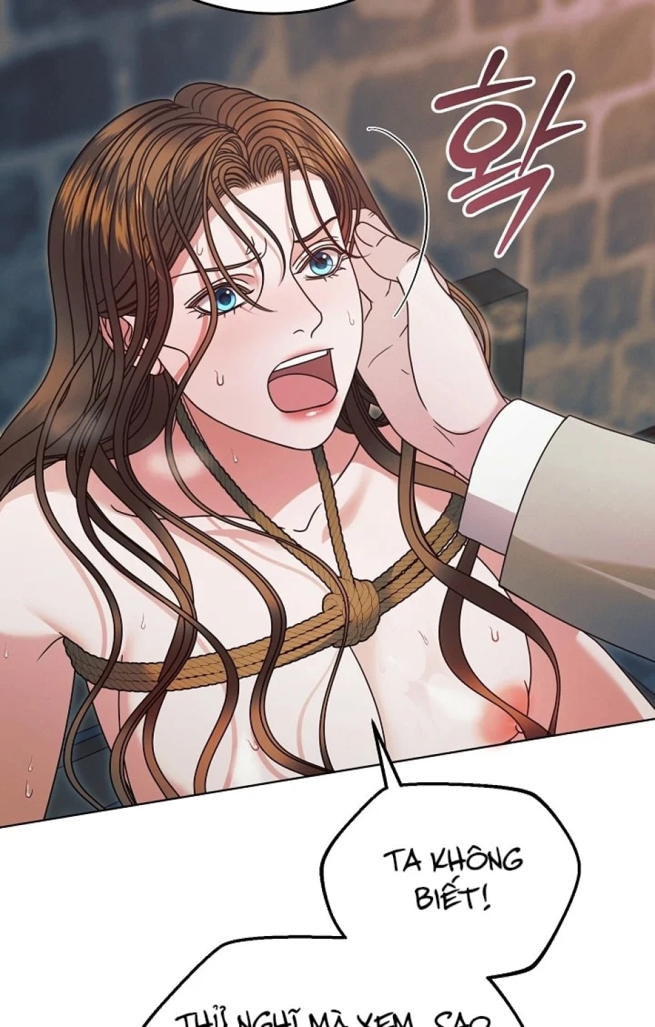 [18+] Hãy Cầu Xin Tôi Đi 